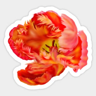 Flaming Orange & Yellow Parrot Tulip Digital Art Sticker